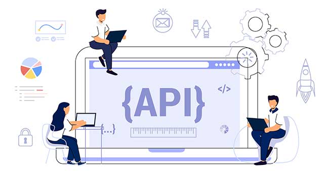 Custom API Development New Zealand